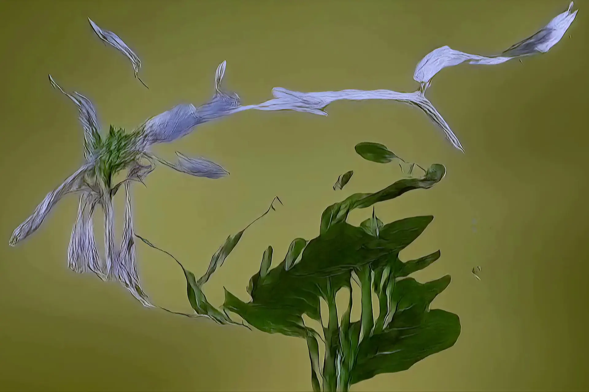 Watery AI generated graphic if a plant, perhaps a lilly.